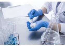 THz對標試驗-仿制藥一致性評價